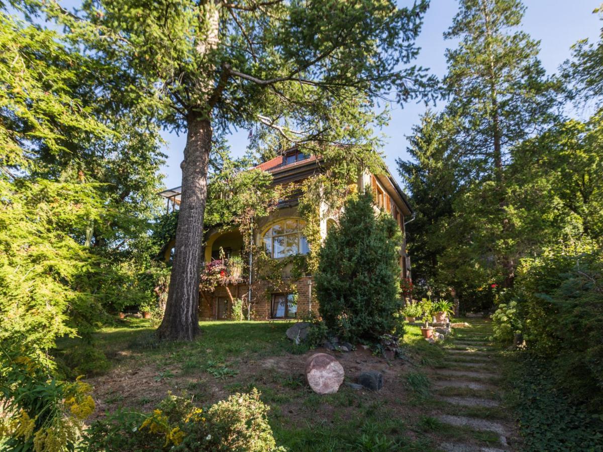 Ferienwohnung Dresden-Pillnitz - Elbhang-Villa - "Am Zuckerhut" מראה חיצוני תמונה